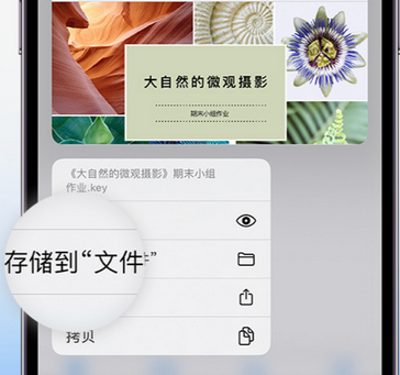 锦江apple维修中心分享iPhone文件应用中存储和找到下载文件