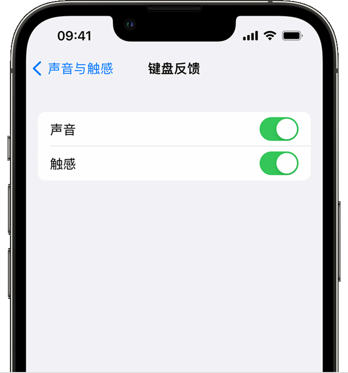 锦江苹果14维修店分享如何在 iPhone 14 机型中使用触感键盘 