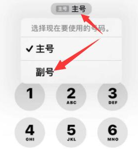 锦江苹果14维修店分享iPhone 14 Pro Max使用副卡打电话的方法 