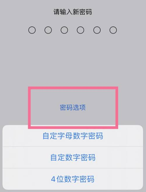 锦江苹果14维修分享iPhone 14plus设置密码的方法 