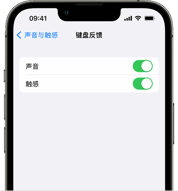 锦江苹果14维修分享iPhone 14 系列机型如何开启键盘声音或触感反馈 