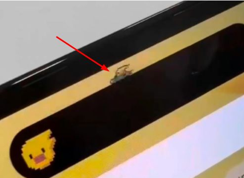 锦江苹果14维修分享iPhone 14 Pro Max灵动岛怎么养宠物 