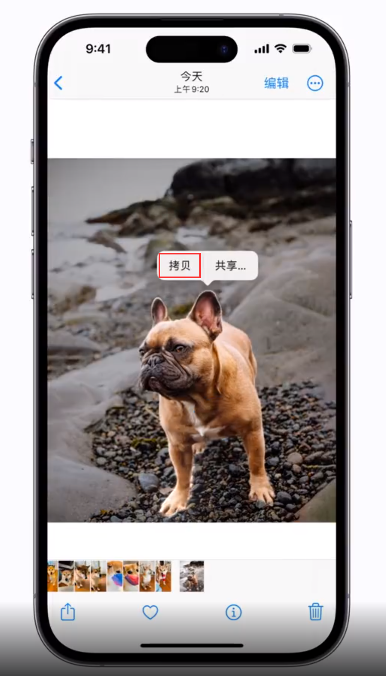 锦江苹果手机维修分享 iOS 16 自带一键抠图功能 