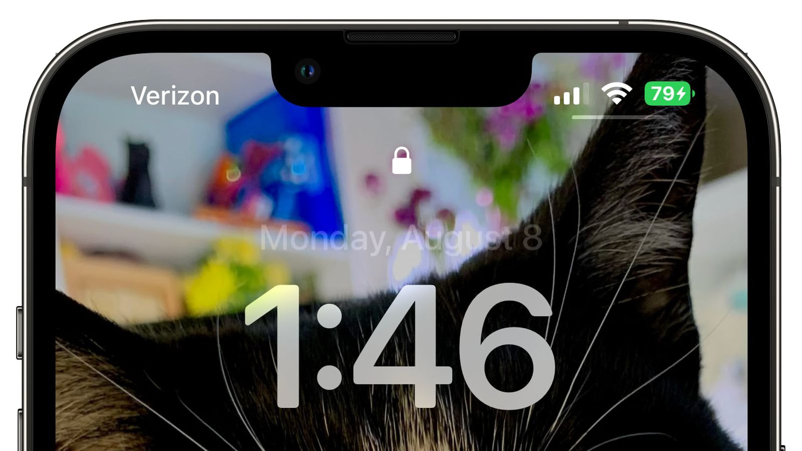 锦江苹果手机维修分享iOS 16 beta 5 支持状态栏显示电池百分比，如何开启？支持哪些机型 