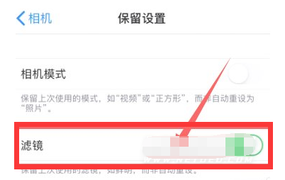 锦江苹果13维修分享iPhone13拍照有绿点是怎么回事 