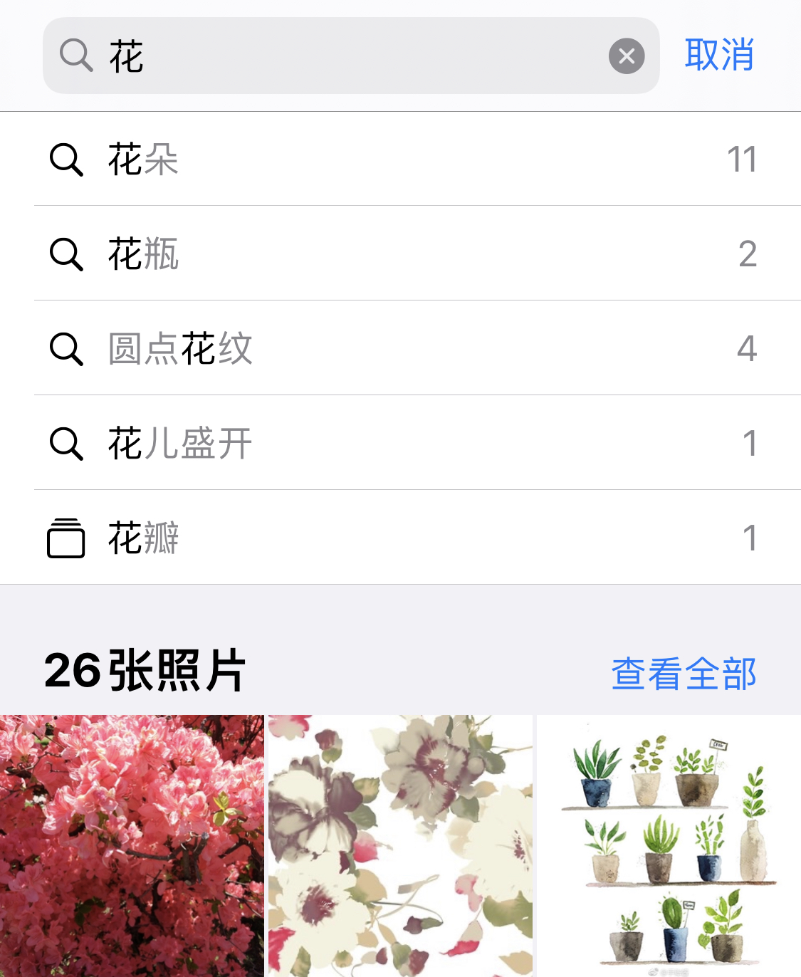 锦江苹果手机维修分享iPhone 小技巧 