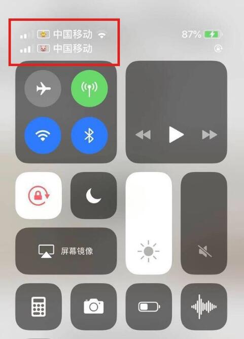 锦江苹果手机维修分享为 iPhone 12 双卡设置标签 