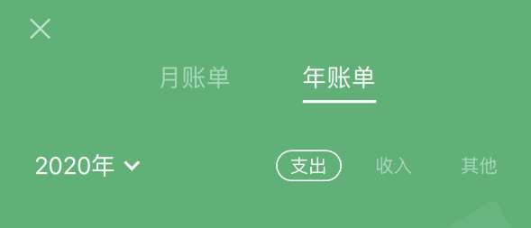 锦江苹果手机维修分享如何在 iPhone 上查看支付宝和微信年支出账单 