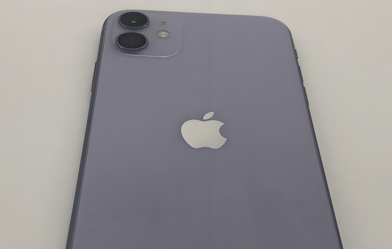 锦江苹果11系统维修分享iPhone11手机系统崩溃无法开机如何解决