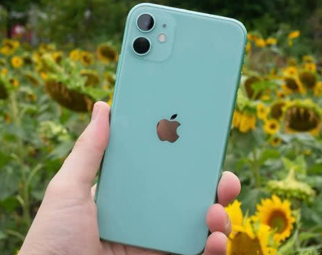 锦江苹果维修点分享iPhone 11锁屏密码认知与使用科普 